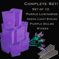 Set of 12 Purple Luminaries, Green Light String, Purple Bulbs, Stakes