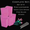 Set of 6 Pink Luminaries, Green Light String, Pink Bulbs & Stakes