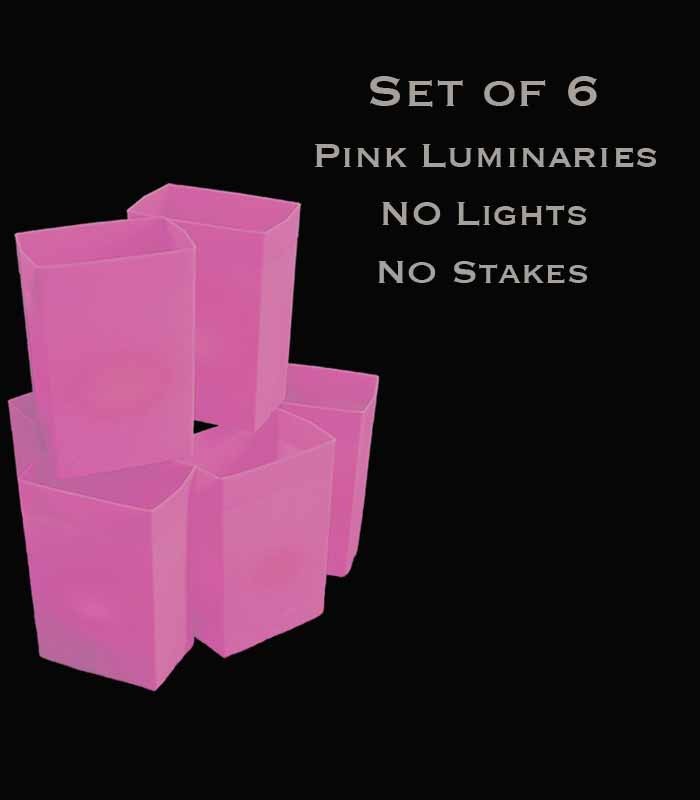 Set of 6 Pink Luminaries, No Lights, No Stakes