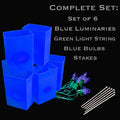 Set of 6 Blue Luminaries, Green Light String, Bulbs & Stakes