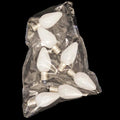Set of 7 LED C7 Pure White Bulbs