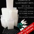 Set of 12 White Luminaries, Green Light String, White FLAME LED Bulbs & Stakes