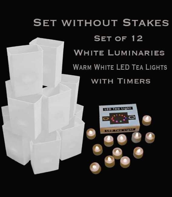 Set of 12 White Luminaries, Warm White LED Tea Lights with Timers, NO Stakes