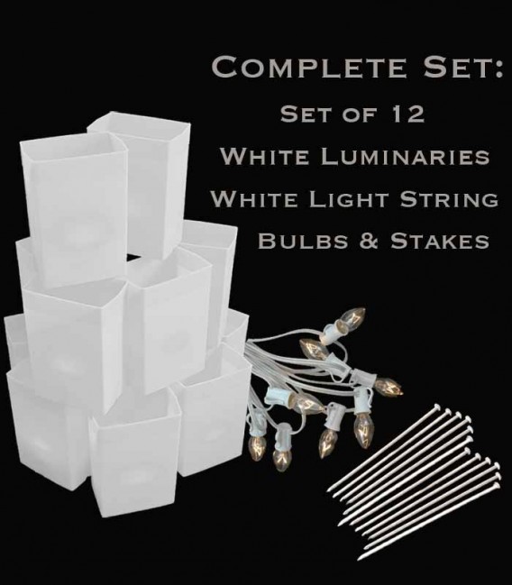 Set of 12 White Luminaries, White Light String, Bulbs & Stakes