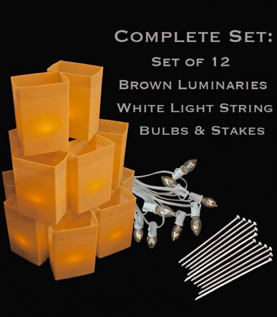 Set of 12 Brown Luminaries, White String & Bulbs, Stakes