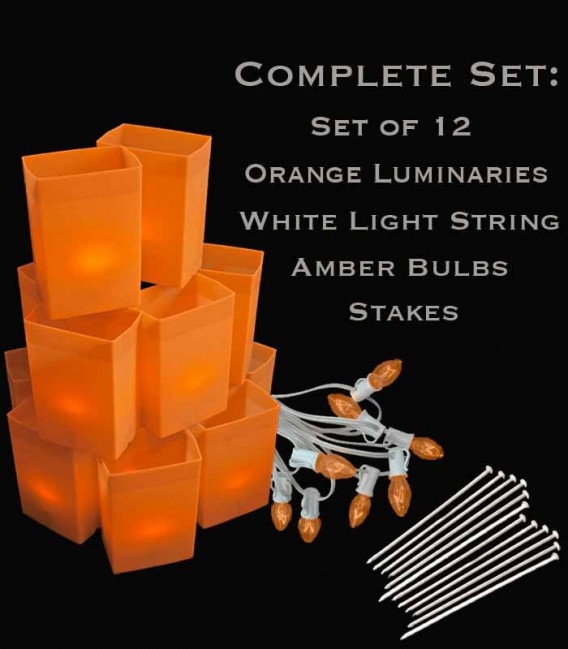 Set of 12 Orange Luminaries, White Light String, Amber Bulbs, Stakes
