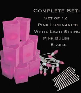 Set of 12 Pink Luminaries, White Light String, Pink Bulbs & Stakes