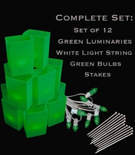 Set of 12 Green Luminaries, White Light String, Green Bulbs, Stakes