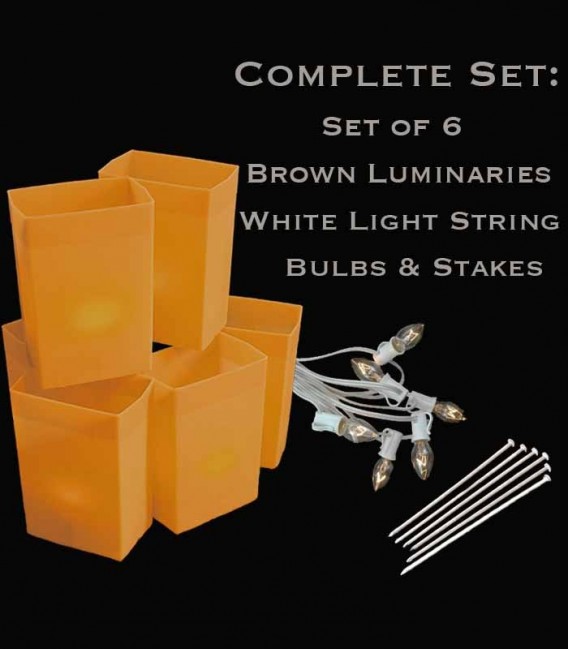 Set of 6 Brown Luminaries, White Light String, Bulbs & Stakes