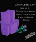 Set of 6 Purple Luminaries, Light String, Purple Bulbs, Stakes