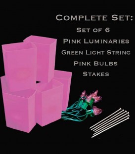 Set of 6 Pink Luminaries, Green Light String, Pink Bulbs & Stakes