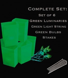 Set of 6 Green Luminaries, Green Light String, Green Bulbs, Stakes