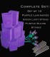 Set of 12 Purple Luminaries, Green Light String with Purple Bulbs, Stakes