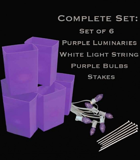 Set of 6 Purple Luminaries, White Light String, Purple Bulbs, Stakes