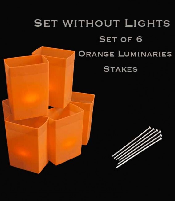 Set of 6 Orange Luminaries, No Lights, Stakes
