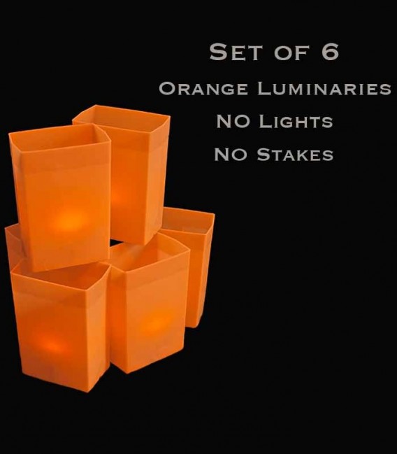 Set of 6 Orange Luminaries, No Lights, No Stakes