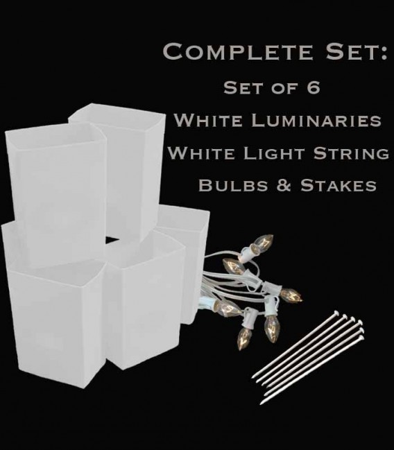 Set of 6 White Luminaries, white light string with clear bulbs, stakes