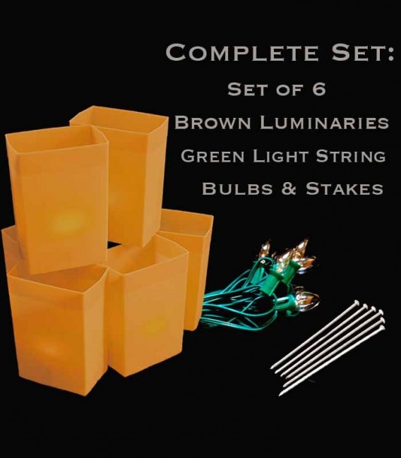 Set of 6 Brown Luminaries, green light string with clear bulbs, stakes