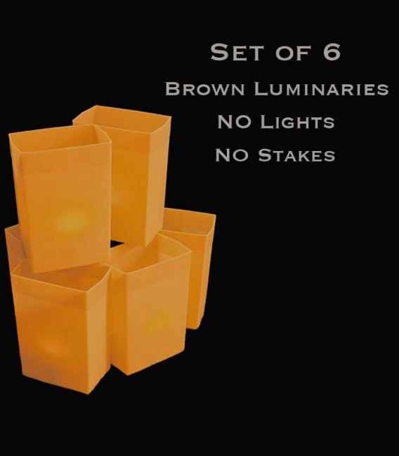 Set of 6 Brown Luminaries, no light source, no stakes