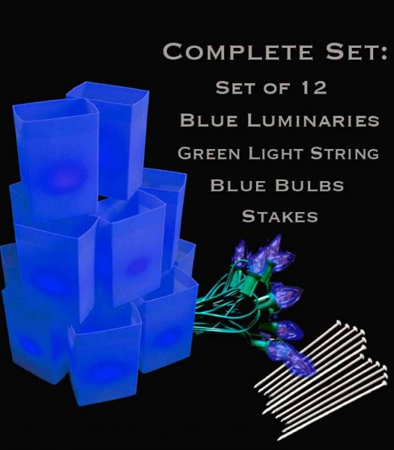Set of 12 Blue Luminaries, green light string with blue bulbs, stakes