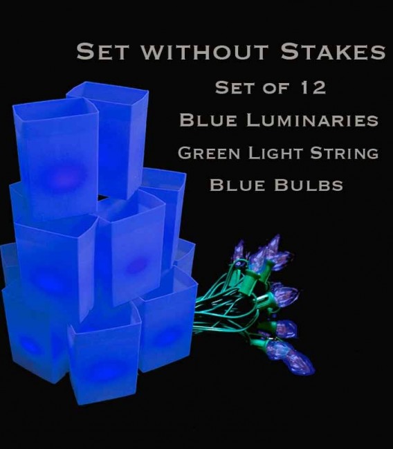 Set of 12 Blue Luminaries, green light string with blue bulbs, no stakes