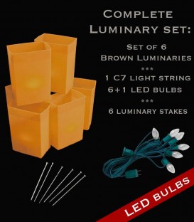 Set of 6 Brown Luminaries, Light String, LED Bulbs & Stakes