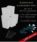 Set of 6 White Luminaries, Light String, LED Bulbs & Stakes