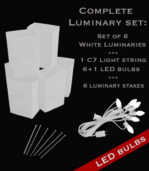 Set of 6 White Luminaries, White Light String, LED Bulbs & Stakes
