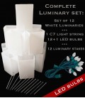Set of 12 White Luminaries, Light String, LED Bulbs & Stakes