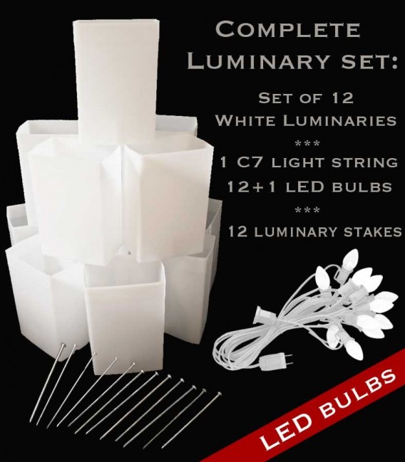 Set of 12 White Luminaries, White Light String, LED Bulbs & Stakes