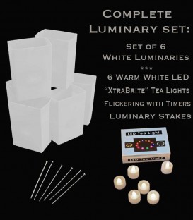 Set of 6 White Luminaries, "XtraBrite" Warm White LED Tea Lights w/ Timers & Stakes