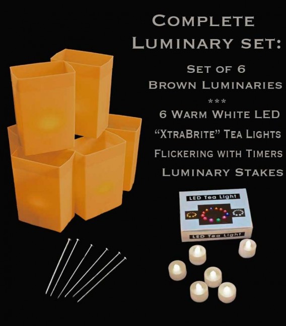 Set of 6 Brown Luminaries, "XtraBrite" Warm White LED Tea Lights w/ Timers & Stakes