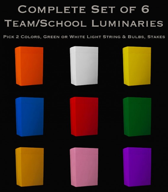Set of 6 Team/School Luminaries, Light String, Bulbs & Stakes