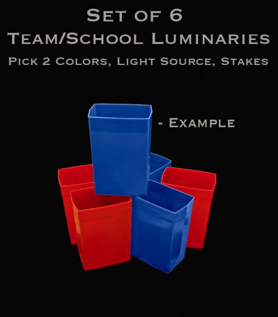 Example Set of 6 Team/School Luminaries, Light String, Bulbs & Stakes