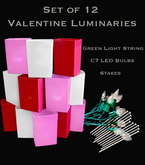 Set of 12 Valentine Luminaries, Green Light String and LED Bulbs, Stakes