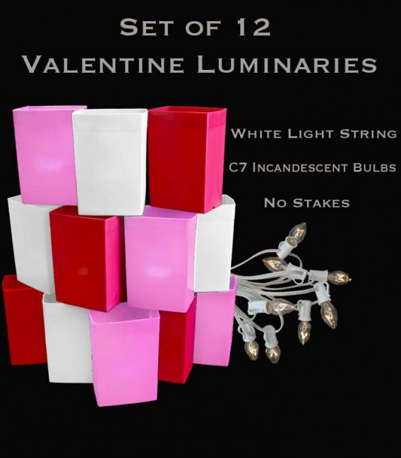 Set of 12 Valentine Luminaries, White Light String and Bulbs, No Stakes