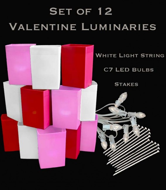 Set of 12 Valentine Luminaries, White Light String and LED Bulbs, Stakes