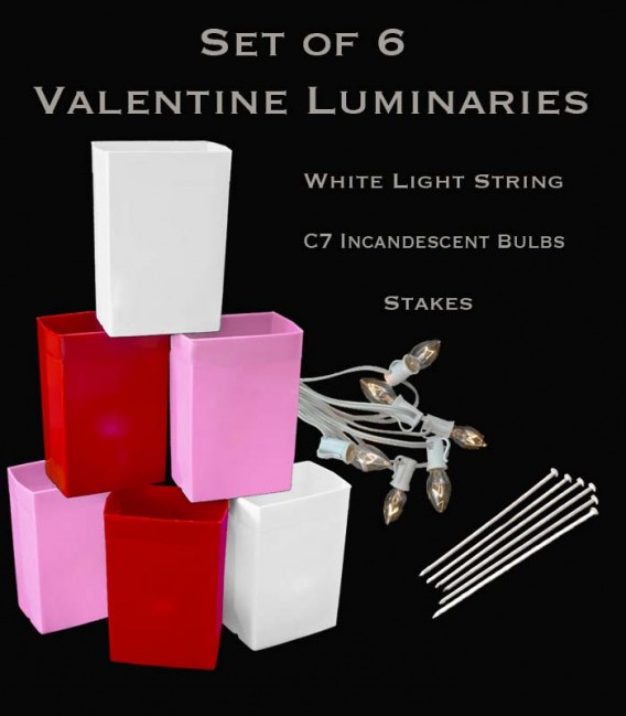 Set of 6 Valentine Luminaries, White Light String and Bulbs, Stakes