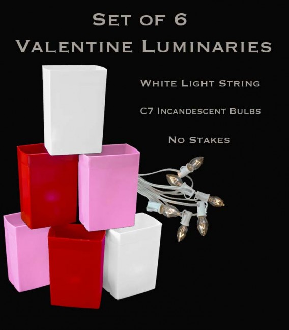 Set of 6 Valentine Luminaries, White Light String and Bulbs, No Stakes