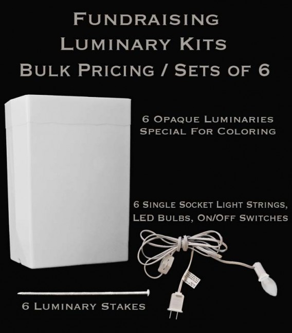 Bulk Fundraising Luminary Kits