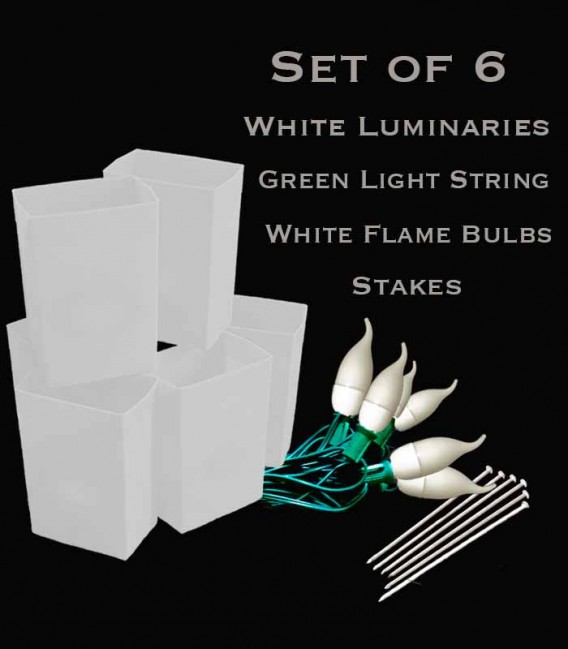 Set of 6 White Luminaries, green light string with flame bulbs, stakes