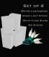 Set of 6 White Luminaries, green light string with flame bulbs, no stakes