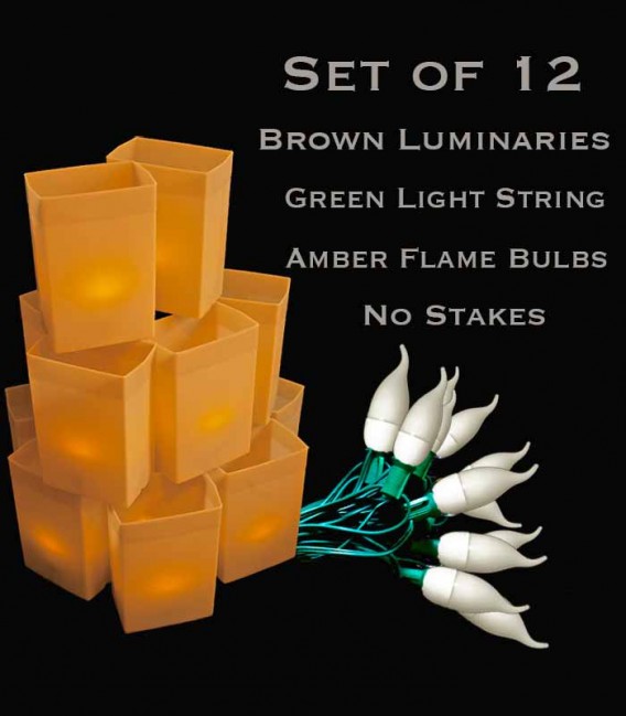 Set of 12 Brown Luminaries, green light string with flame bulbs, no stakes
