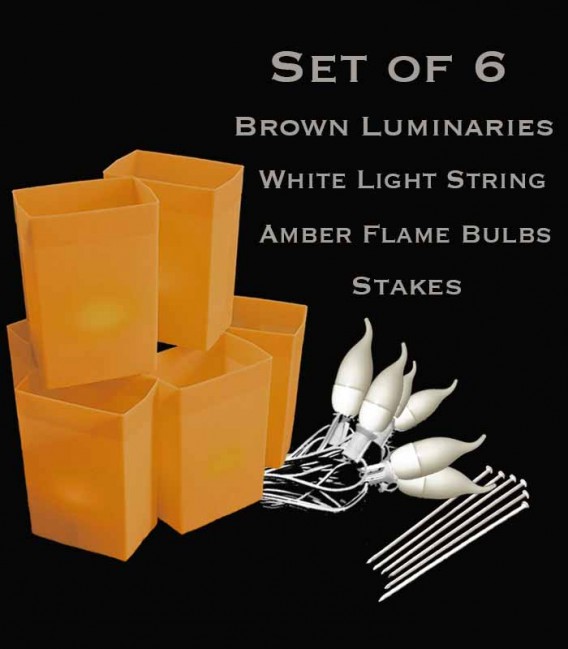 Set of 6 Brown Luminaries, white light string with flame bulbs, stakes