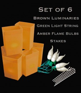 Set of 6 Brown FLAMING Luminaries, green light string with flame bulbs, stakes