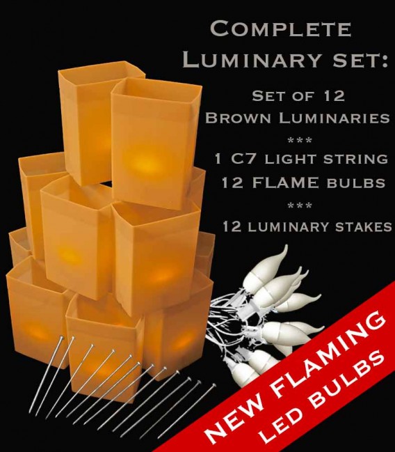 Set of 12 Brown Luminaries, White Light String, Amber FLAME LED Bulbs & Stakes