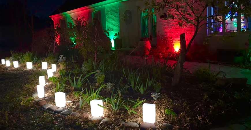 FLAME Bulbs Available NOW!
