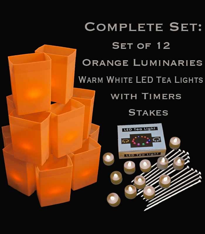 Set of 12 Orange Luminaries, Warm White LED Tea Lights, Stakes