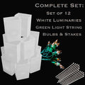 Set of 12 White Luminaries, Green Light String, Bulbs & Stakes
