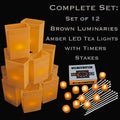 Set of 12 Brown Luminaries, Amber LED Tea Lights with Timers, Stakes